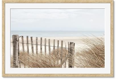 Image de Past the Fence