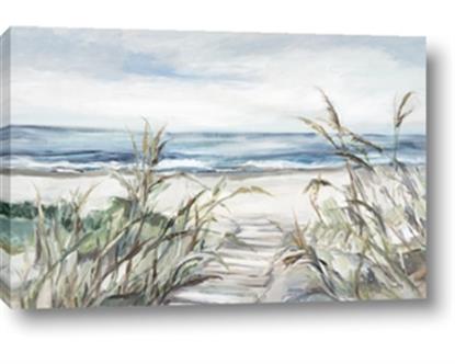 Picture of Beach Grass