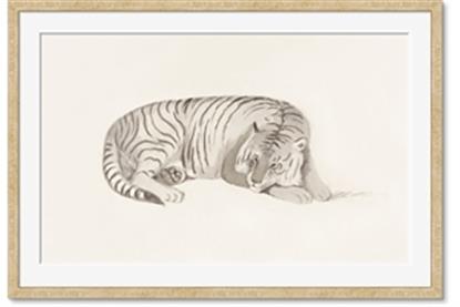 Image de Tiger Time