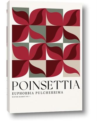 Picture of Poinsettia