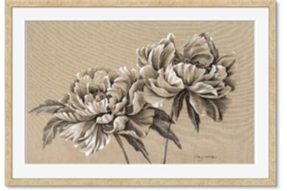 Image de Botanical Essence