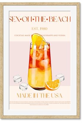 Picture of Sex on the Beach Drink