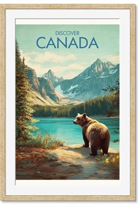 Picture of Canadian Brown Bear