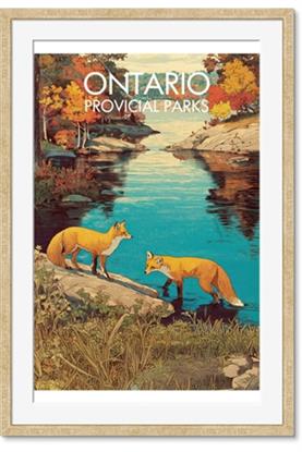 Picture of Wild Ontario