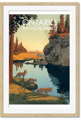 Picture of The Provincial Wild