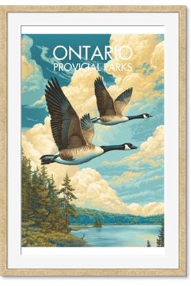 Picture of Echoes of the Lake